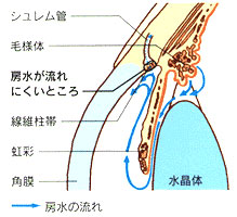 JpΓ摜